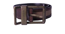 Burberry Check Belt,Canvas,Leather,Brown,ITGIOLIN4FIR,2*