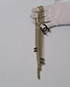 CC Enamel Ceinture Fantai Adjustable Belt, front view
