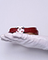 CC Belt, front view