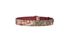 Gucci GG Blooms Belt, back view