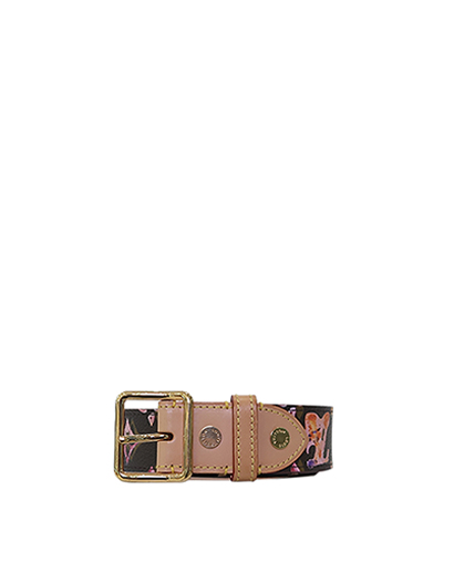 Louis Vuitton Watercolour Belt, front view