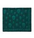 Alexander McQueen Skull Scarf, front view