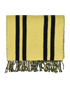 Burberry Stripe Scarf, front view