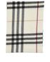 Burberry Plaid Scarf, front view