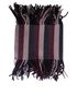 Burberry Stripe Scarf, front view