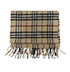 Burberry Nova Check Scarf, front view