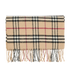 Burberry Check Scarf, front view