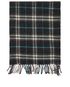 Burberry Tartan Scarf, front view