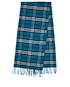 Burberry Tartan Scarf, front view