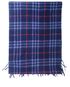 Burberry Vintage Check Scarf, other view