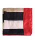 Buberry Icon Strip Scarf, front view