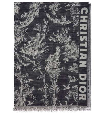 Christian Dior Toile de Jouy Scarf, front view