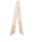 Christian Dior Dior Oblique Mitzah Scarf, back view