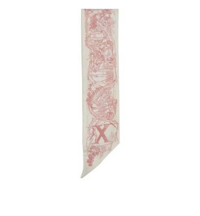 Christian Dior Printed Twilly, front view