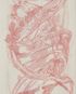 Christian Dior Printed Twilly, other view