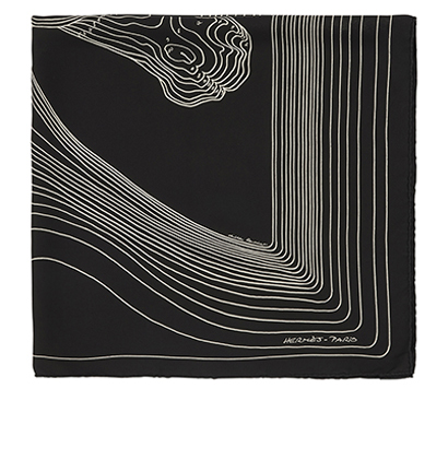 Hermes Pegase Paysage Scarf, front view