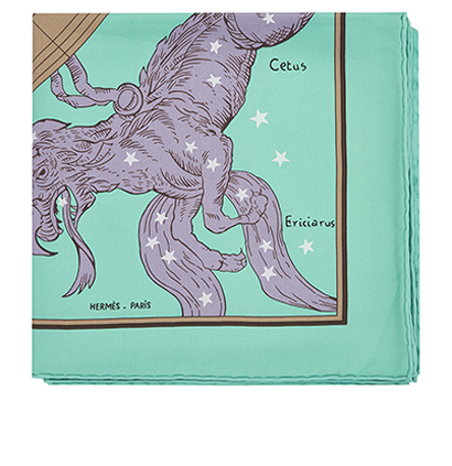 Hemispherium Coeli Boreale 90 Scarf, front view