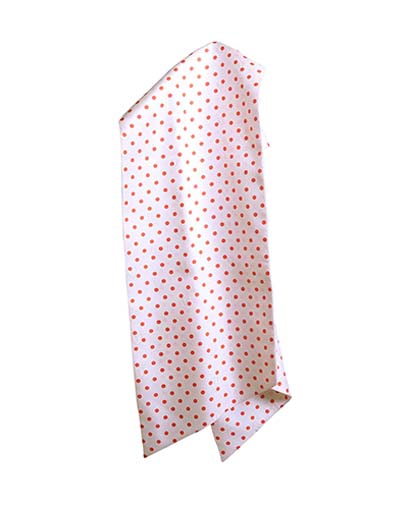 Hermes Polka Dot & Bees Maxi Twilly, front view