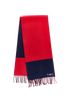 Hermes Colour Block Fringed Scarf, back view