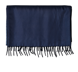 Hermes Fringed Scarf, Cashmere/Silk, Blue, MIF, 2*