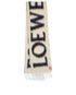 Loewe Scarf, back view