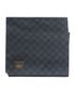 Louis Vuitton Neo Petit Damier Scarf, front view