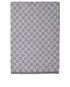 Louis Vuitton Neo Petit Damier Scarf, front view