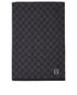 Louis Vuitton Damier Graphite Scarf, front view