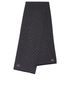 Louis Vuitton Damier Graphite Scarf, back view