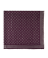 Louis Vuitton Monogram Scarf, front view