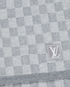 Louis Vuitton Neo Petit Damier Scarf, other view