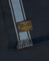 Louis Vuitton Scarf, other view