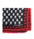 Alexander McQueen Love Heart Skull Scarf, front view