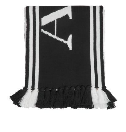 Alexander McQueen Logo Scarf, front view
