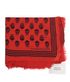 Alexander McQueen Skull Scarf, front view