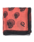Alexander McQueen Scarf, front view