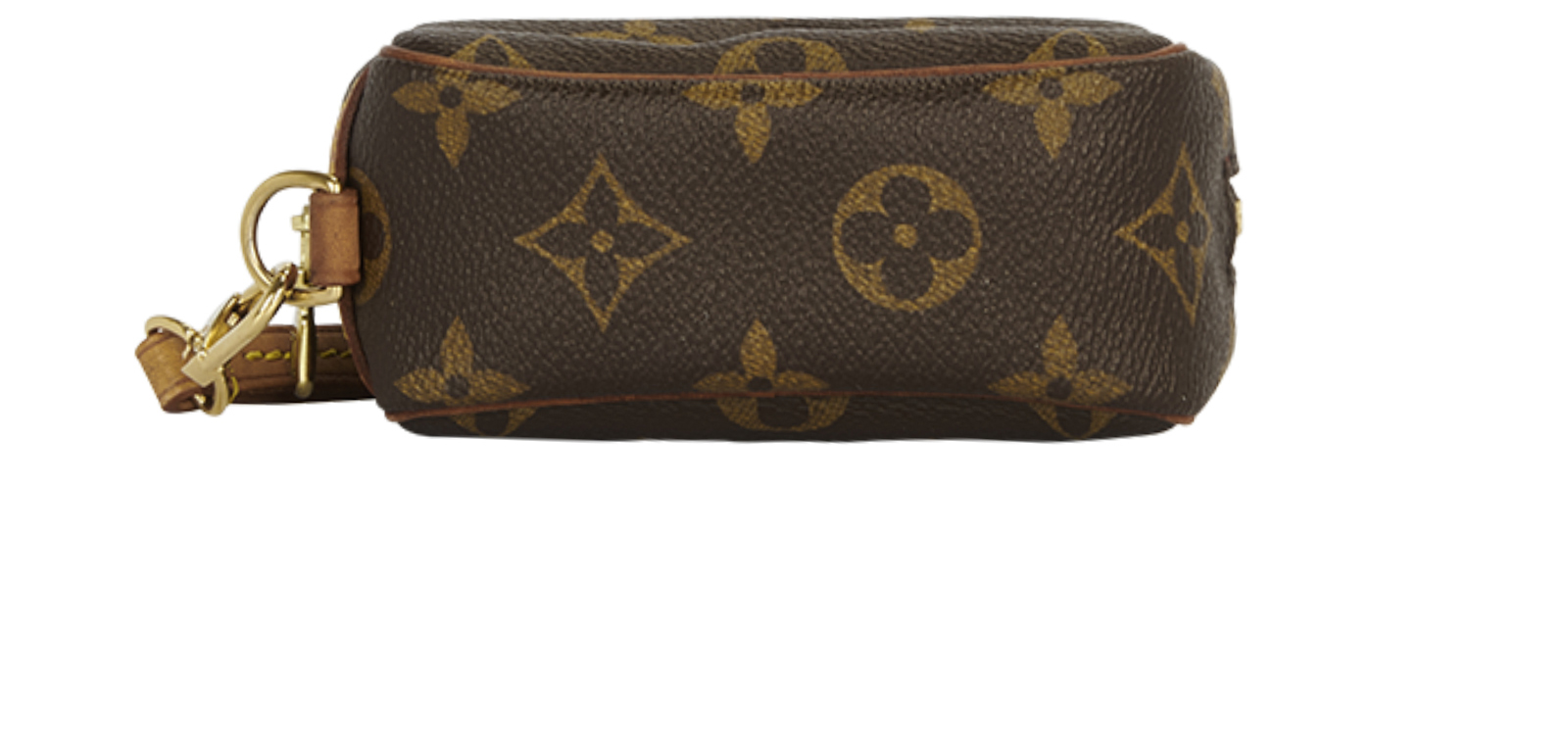 Louis Vuitton Wapity Case