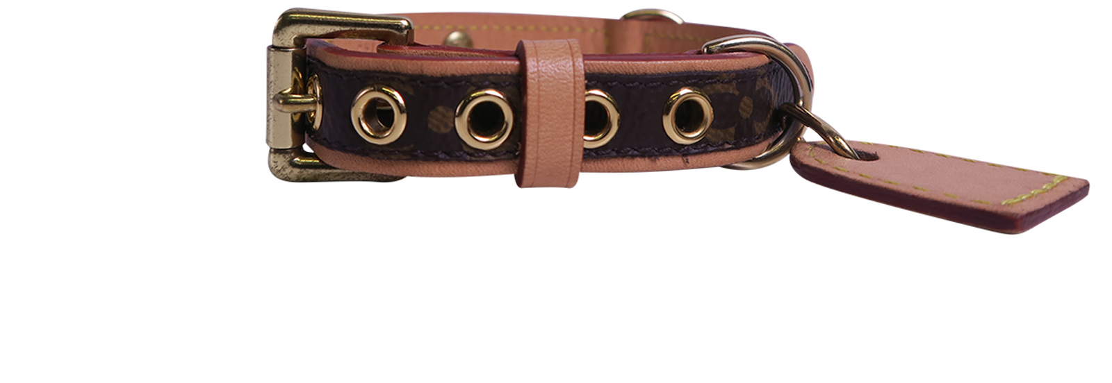 Louis Vuitton, Other, Louis Vuitton Baxter Leather And Canvas Dog Leash  And Collar Set