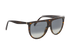 Celine 41435S Sunglasses, side view