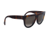 Celine CL 41026/S/S Sunglasses, side view