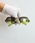 Chanel 4037 Sunglasses, front view