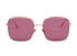Christian Dior Dior Stelliare 1 Sunglasses, front view