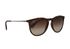 Ray Ban RB4171 Erika Sunglasses, side view