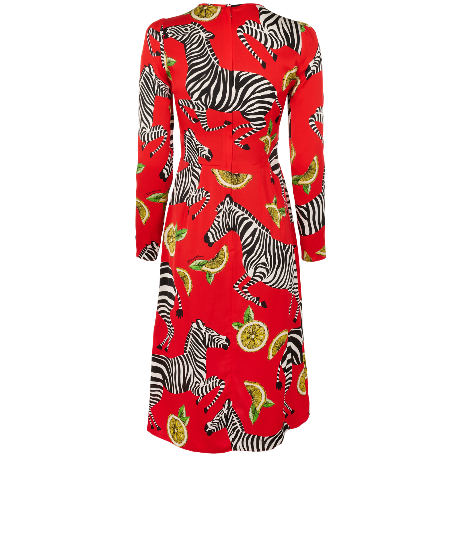 Dolce & Gabbana Zebra Printed Dress, &pound;195, Clothing, Red, Silk, Back view
