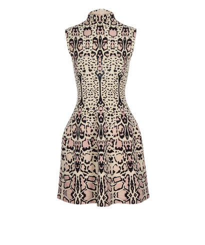 Alaia Leopard Print Dress, front view