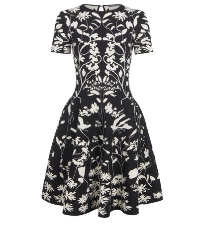 Alexander McQueen Skater Dress, front view