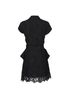 Balenciaga Lace Dress, back view