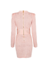 Balmain V-Neck Bodycon Dress, £350, Clothing, Pink, Viscose, Back view