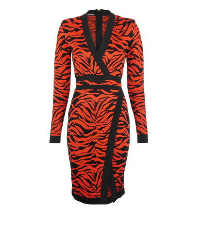 Balmain Tiger Print Bodycon Dress, front view