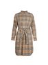 Burberry Giovanna Shirt Check Dress, front view